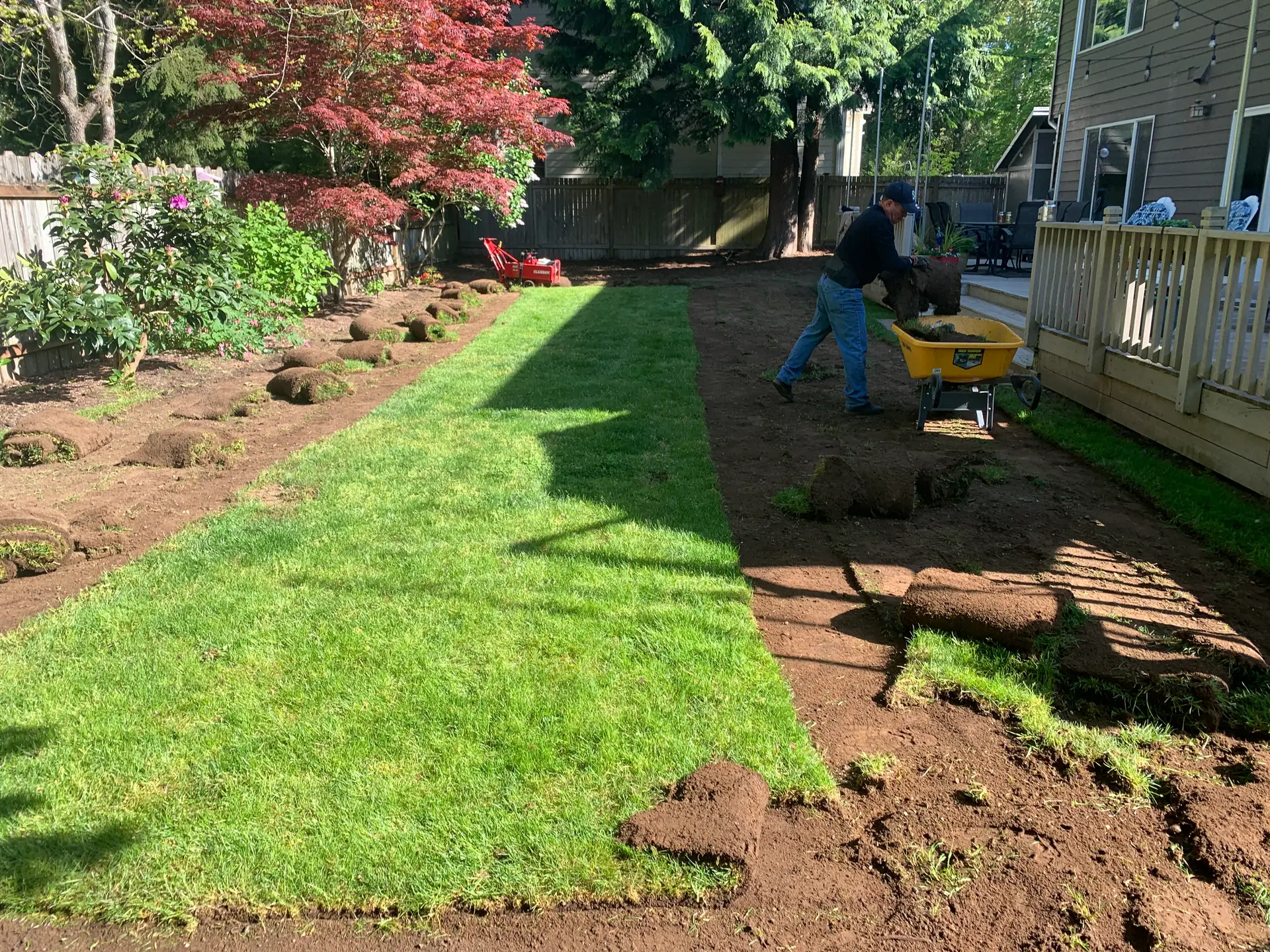 New backyard sod installation and lawn in Snohomish County WA